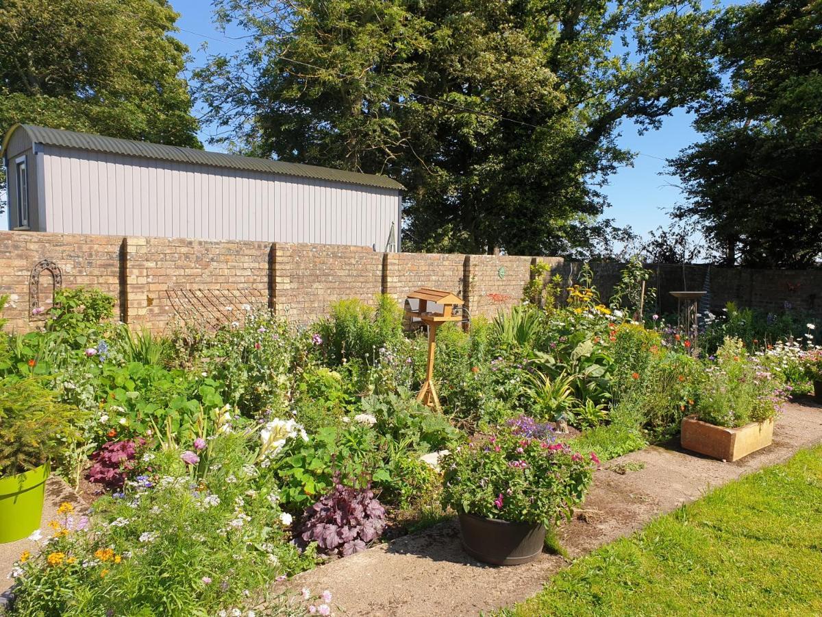 Scooniehill Farm House B&B St Andrews Dış mekan fotoğraf