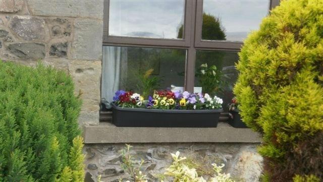 Scooniehill Farm House B&B St Andrews Dış mekan fotoğraf