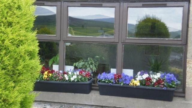 Scooniehill Farm House B&B St Andrews Oda fotoğraf