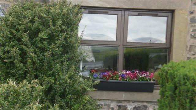 Scooniehill Farm House B&B St Andrews Oda fotoğraf