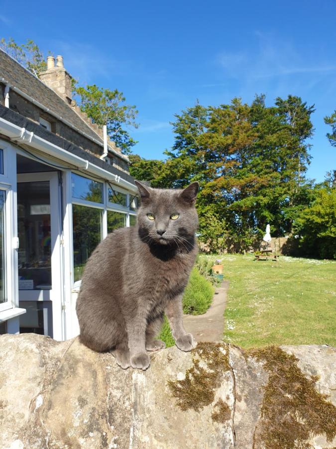 Scooniehill Farm House B&B St Andrews Dış mekan fotoğraf